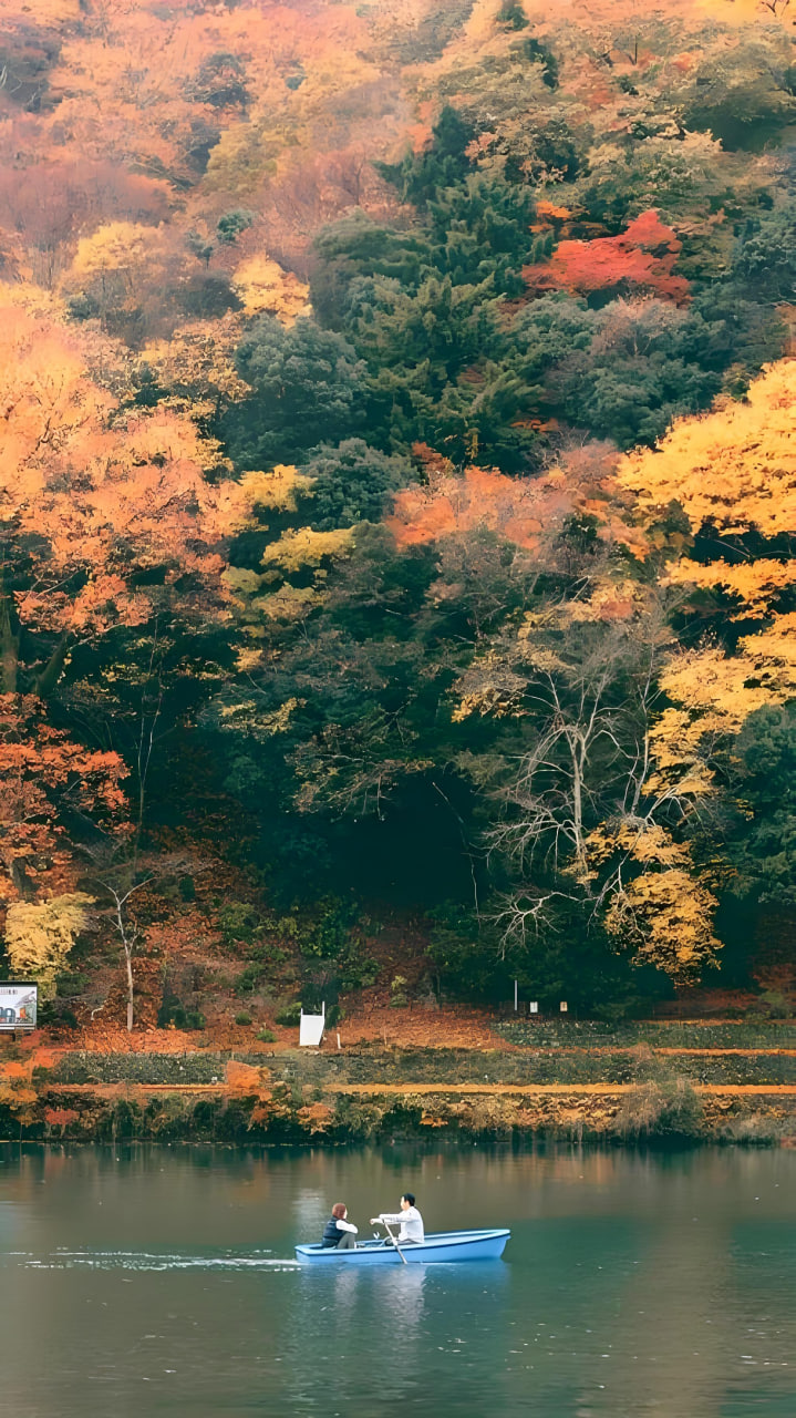 家庭剧